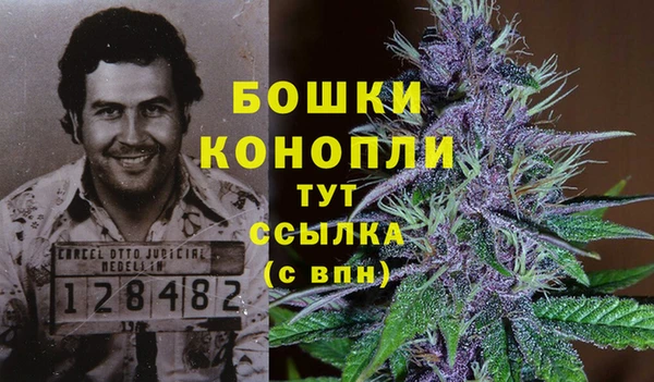 MESCALINE Богданович