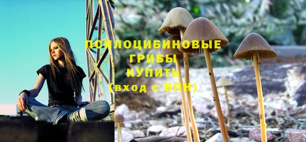 прущая мука Богородск