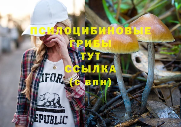 кокаин Бородино