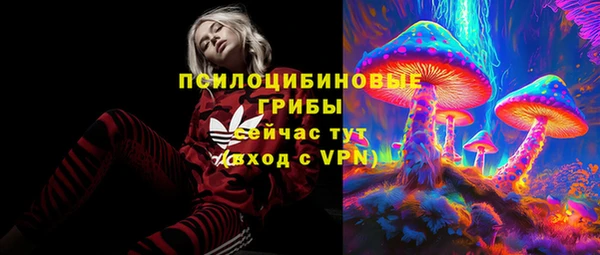 прущая мука Богородск